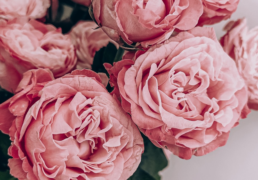 Elizabeth's Flowers - Official floral design partner
